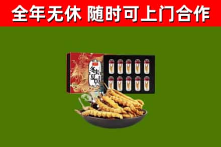 永新回收冬虫夏草价格